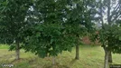 Lager til leje, Tarm, &lt;span class=&quot;blurred street&quot; onclick=&quot;ProcessAdRequest(282739)&quot;&gt;&lt;span class=&quot;hint&quot;&gt;Se vej-navn&lt;/span&gt;[xxxxxxxxxx]&lt;/span&gt;